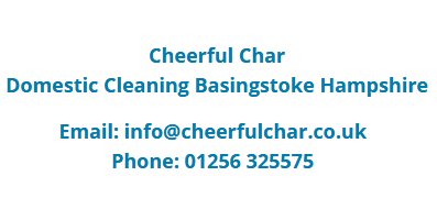 cleaners Basingstoke
